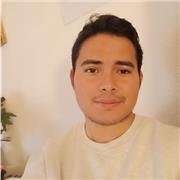 Estudiante de ciencias políticas de la con amplio conocimiento, ofrezco clases a personas de cualquier rango de edad y a precio económico
