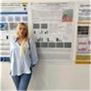 Offro ripetizioni a ragazzi di scuola media e liceo