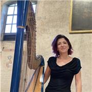 Professionista con esperienza pluriennale impartisce lezioni di Arpa in presenza o online