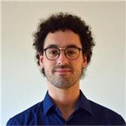 Offro accordatura e lavori di manutenzione di Pianforti