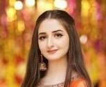 I am computer science teacher and computer operator