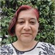 Clases de regularización de inglés, todos los niveles. Maestra con 15 años de experiencia