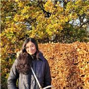 I am an IELTS trainer and am proficient in teaching English language