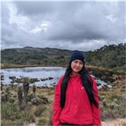 Tutor de matemáticas, literatura, ciencias, entre otras, ( clases online y presenciales)