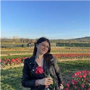 Docente offre ripetizioni di lingua spagnola ed inglese per tutti i livelli