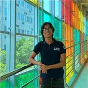 Profesor de matemática para estudiantes nivel escolar y universitario