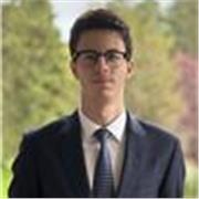 Soy estudiante de Ingeniería Informática y doy clases de Matemáticas y Economía IB o secundaria en Madrid.