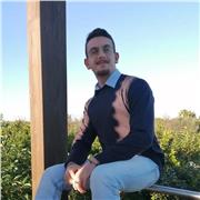 Laureando UNIFE in informatica offre aiuto compiti e lezioni private per elementari, medie, superiori ed università