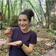 La curiosità è importantissima per comprendere la scienza!