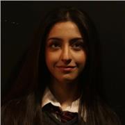 I am an A-level student who wants to provide support to GCSE pupils in a range of different subjects.
