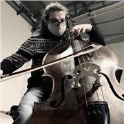 Insegnante di Basso Elettrico e Contrabbasso, a Roma