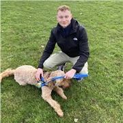 Online Tutoring for GCSE Maths students from an A* at A-level achieving tutor with experience in real world applied maths.