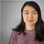 Ich biete online den authentischen chinesischen Privatunterricht