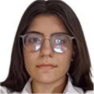 Elif Karakis