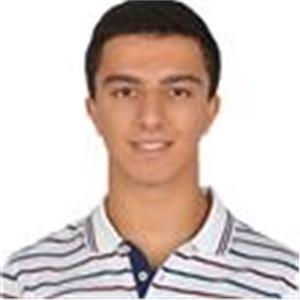 Arda Gül