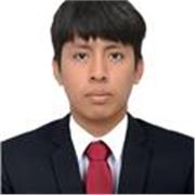 PROFESOR DE ÁREAS DE MATEMÁTICA PARA ESTUDIANTES DE PRIMARIA Y SECUNDARIA