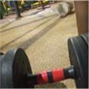 Entrenador personalisados de fitness