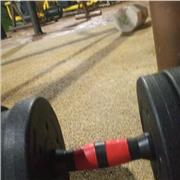Entrenador personalisados de fitness