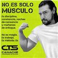 Entrenador personal certificado ifbb y fvfc (online y presencial)