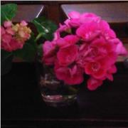 Lezioni di inglese per bambini singole per studenti e per adulti personalizzate