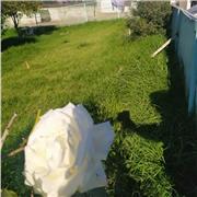 Parler l'arabe c'est facile