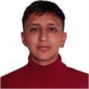 Profesor de física con experiencia en pedagogía básica, conocimientos de física y matemática tanto escolar como universitaria