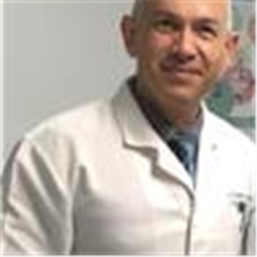 Profesor De Anatomía Microscópica Histología. Clases de Anatomía online