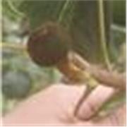 Potencia tu aprendizaje en Biología y materias afines