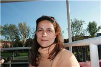 Interprete traduttore