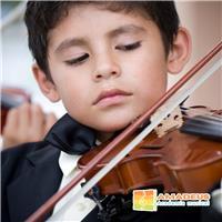 Clases de violin a domicilio academia musical a domicilio profesionales altamente capacitados para brindarte un mayor aprendizaje