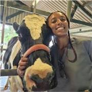 Clínica médica e cirúrgica de grandes animais