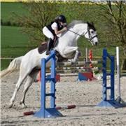 Secteur Nancy, accompagnement / initiation équitation galop 1 à 4