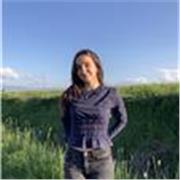 Clases de refuerzo y apoyo general para alumnos de Primaria en todas las asignaturas