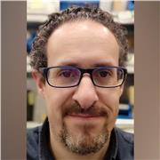 Profesor de Informática, ofrece clases particulares sobre:
-informática en general.
-desarrollo web iniciación.
-redes informáticas.
a adultos o niños de Vitoria o alrededores