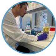 Neolaureato in Scienze Biologiche offre ripetizioni di biologia , chimica , anatomia umana, biologia molecolare