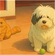 Profesor de matemáticas para la ESO y primaria. 