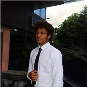 I give tailored maths lessons directed at GCSE students