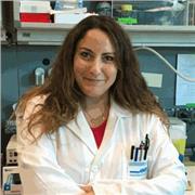 Dottorata in Biotecnologie offre lezioni di Scienze naturali e chimica per le scuole medie e superiori