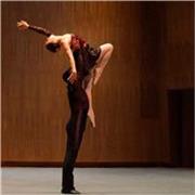 Profesora de danza clásica, imparte clases en todos sus niveles