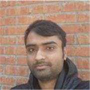 Tutor providing lessons in English to all ages