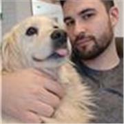 Clases de Inglés Online – Conversación, Trabajo y Uso Real del Idioma