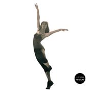 Lezioni Private di Danza Classica: Un Percorso Personalizzato.