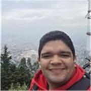 Tutor de Programación (Algoritmos, Estructuras de Datos, etc.) - Ingeniero de Software con 8+ años de experiencia