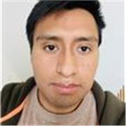 Profesor o profesora de español en línea