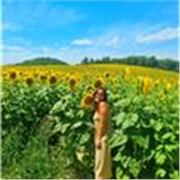 Laureata in giurisprudenza, funzionario amministrativo con esperienza quinquiennale, disponibile per ripetizioni orarie