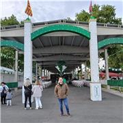 Profesor de inglés imparte clases personalizadas para niños y adultos