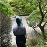 I give private lessons tailored to each individual student to suit their needs and wants in a fun an unique way of learning