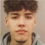 Puedo dar lengua y matematicas del nivel de primaria y de la ESO