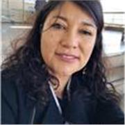 Profesor de inglés con experiencia en enseñanza básica y media de manera presencial