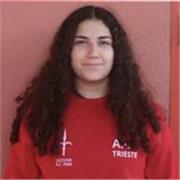 Ripetizioni di storia: dalle guerre ai voti alti